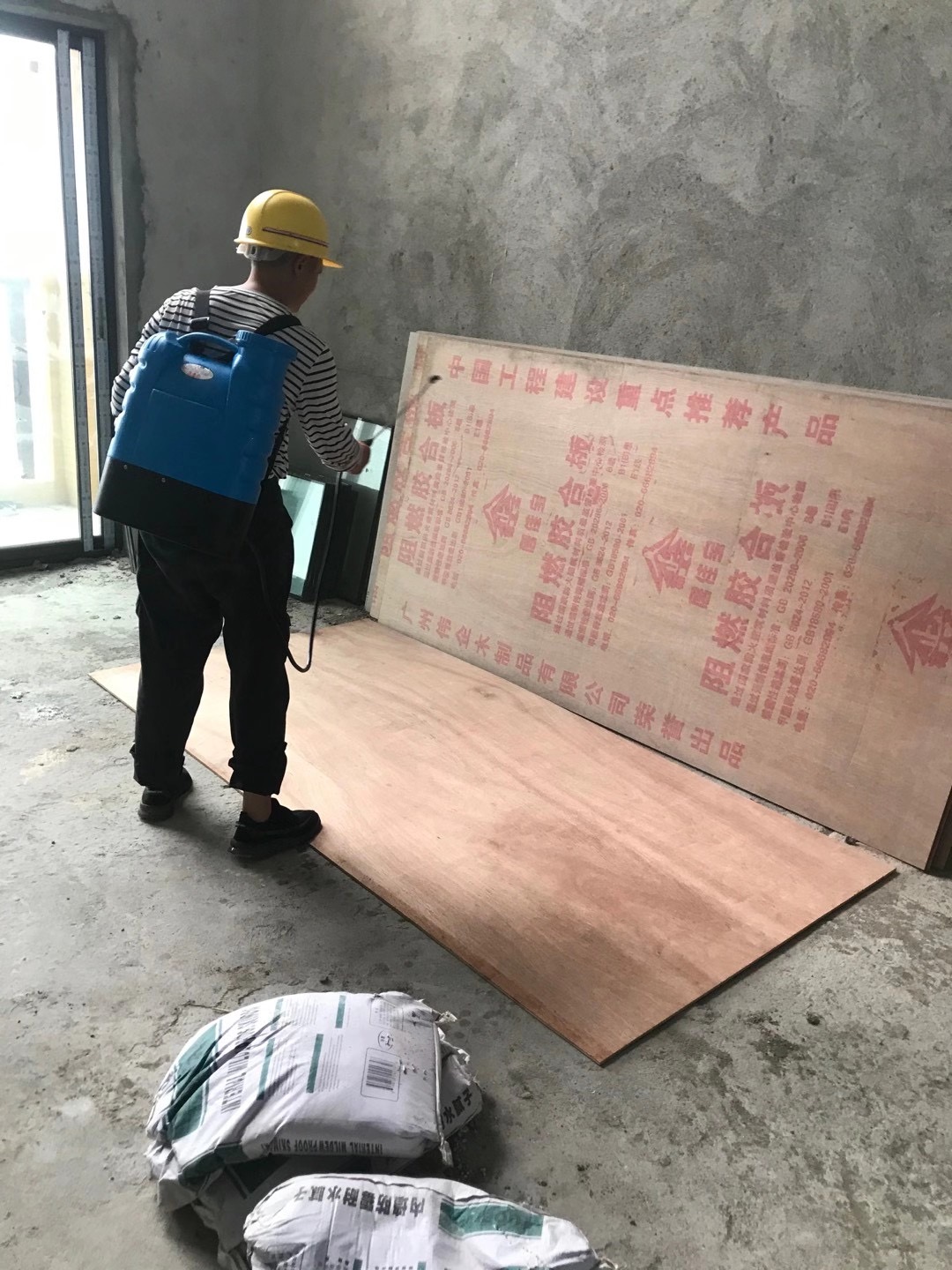 珠海白蟻防治 珠海滅殺白蟻 珠海預防白蟻