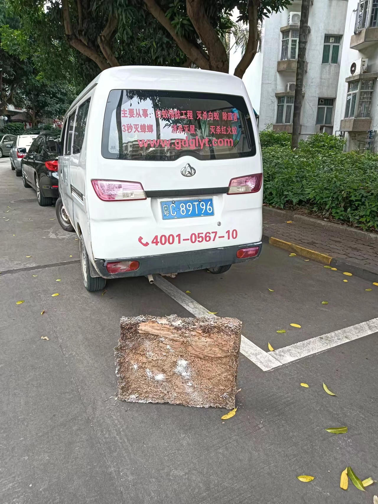 珠海商場(chǎng)驅老鼠 高欄港防白蟻公司 金灣效